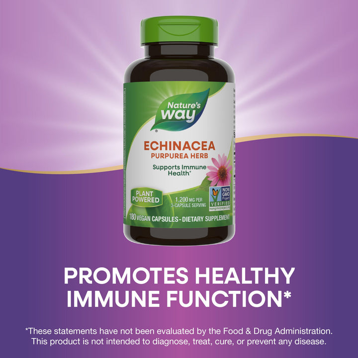 Nature&#39;s Way Echinacea Purpurea Herb, Immune Su
