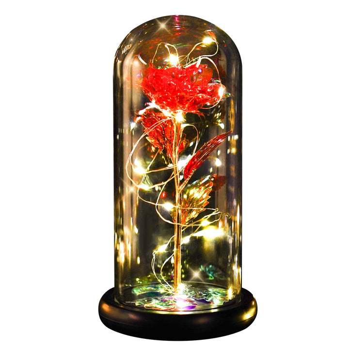 Christmas Galaxy Rose Gifts for Her, Glass Flower Gifts for Women, Mom &amp; Friends, Enchanted Rose in Glass Dome, Preserved Flowers with LED Lights for Xmas, Birthday, Anniversary, Valentines