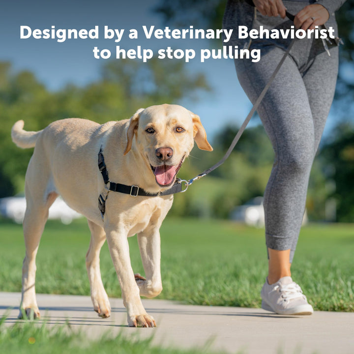 Easy Walk No-Pull Dog Harness - The Ultimate Harness to Help Stop Pulling - Take Control &amp; Teach Better Leash Manners - Helps Prevent Pets Pulling on Walks, Medium, Royal Blue/Navy Blue