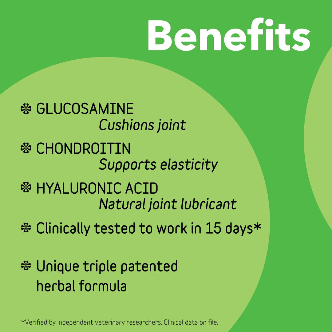 InClover Connectin Natural Hip &amp; Joint Supplement for Dogs with Glucosamine, Chondroitin &amp; Hyaluronic Acid - Soft Chew for Dog Mobility, Comfort &amp; Active Lifestyle Support, 100 Count