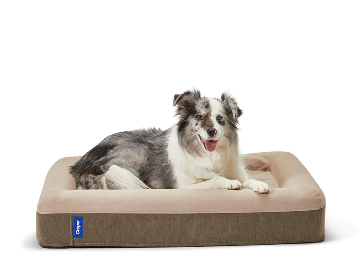 Dog Bed, Plush Memory Foam, Medium, Sand