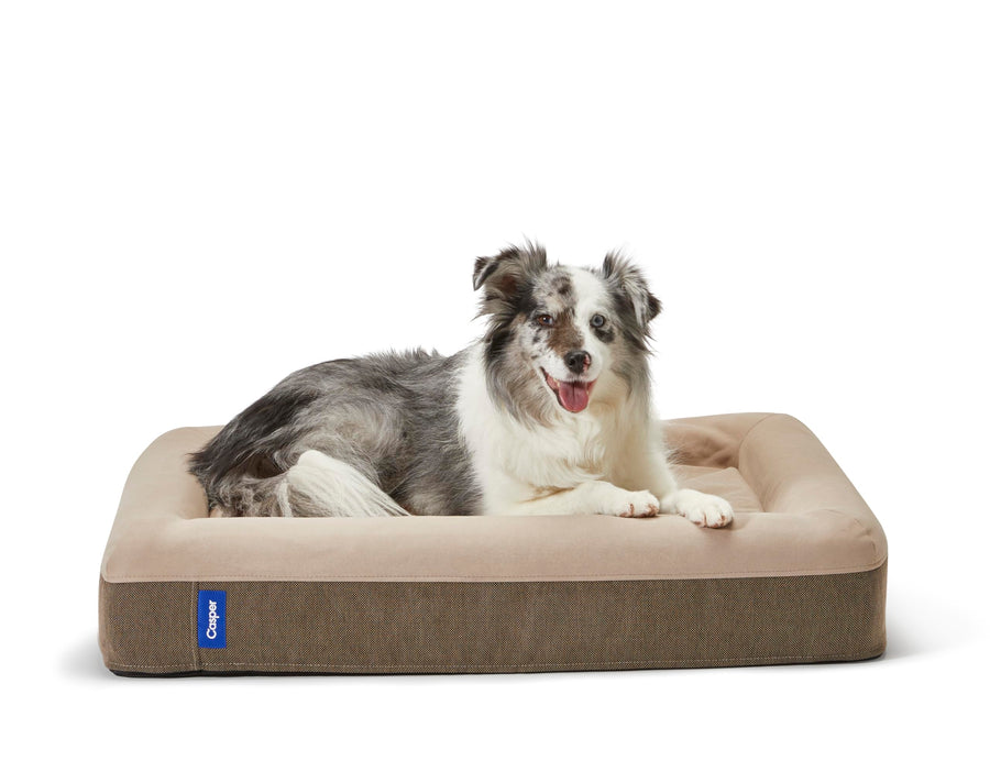 Dog Bed, Plush Memory Foam, Medium, Sand