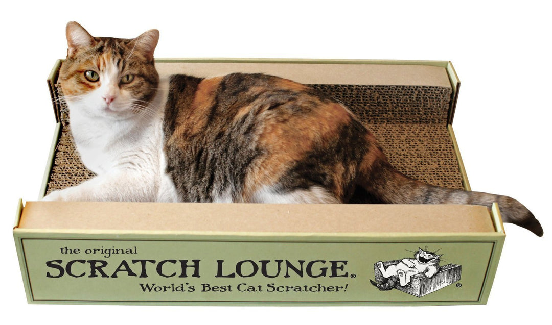 Scratch Lounge Cardboard Cat Scratcher &amp; Lounger for Large Cats - XL 13x22 with Reversible Floor &amp; Catnip - Heavy Duty Durable Bed Lasts 10x Longer Than Conventional Scratchers