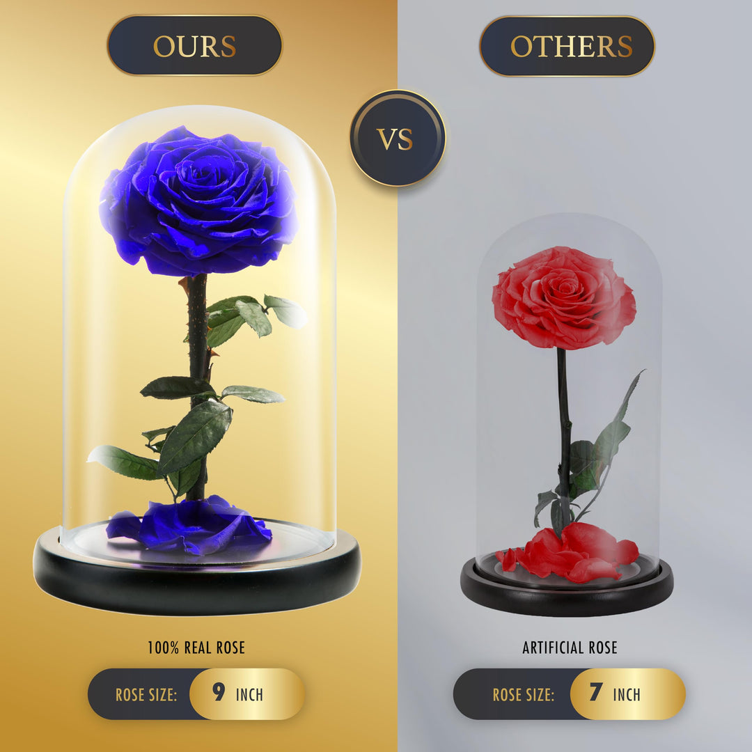 LOVAPPY Forever Preserved Rose - Eternal Rose in Glass 