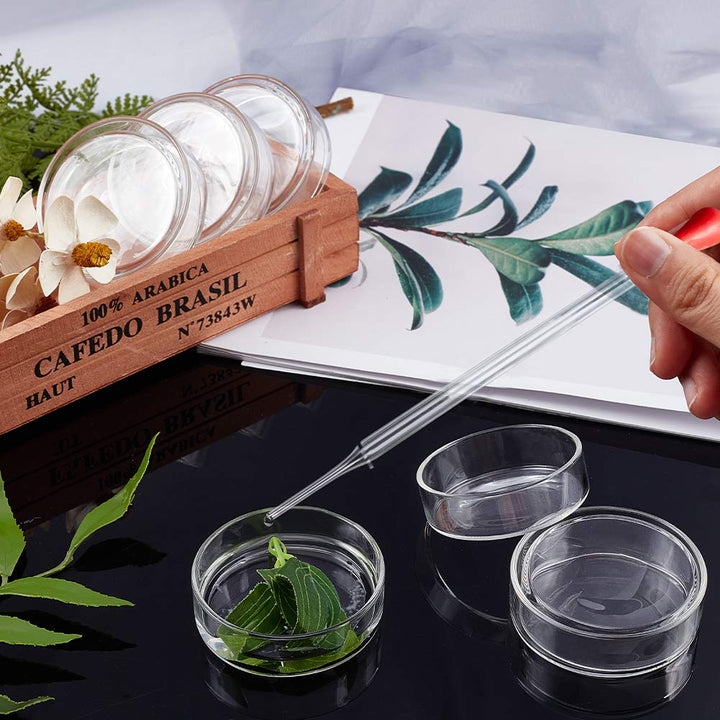 OLYCRAFT 6PCS Glass Petri Dishes High Borosilicate Glas