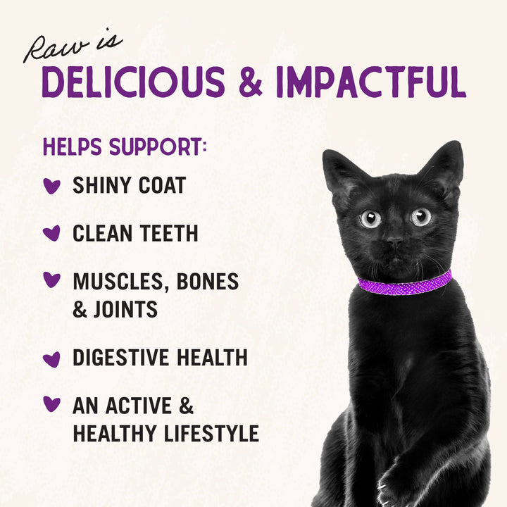 Stella &amp; Chewy&#39;s Freeze-Dried Raw Cat Dinner Morsels - Premium Chicken Recipe with 98% Cage-Free Meat &amp; Organs - Natural Grain-Free Cat &amp; Kitten Food - Made in USA - 18 oz