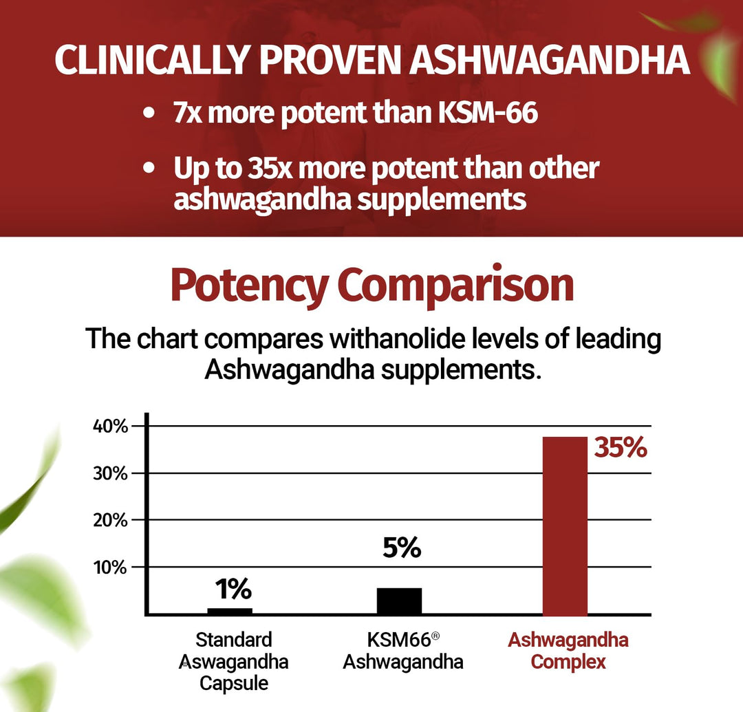 Ashwagandha Complex with Shoden® – Clinically Supported Stress Relief, Sleep, and Energy Support – Vegan, Non-GMO Supplements – 60 Capsules