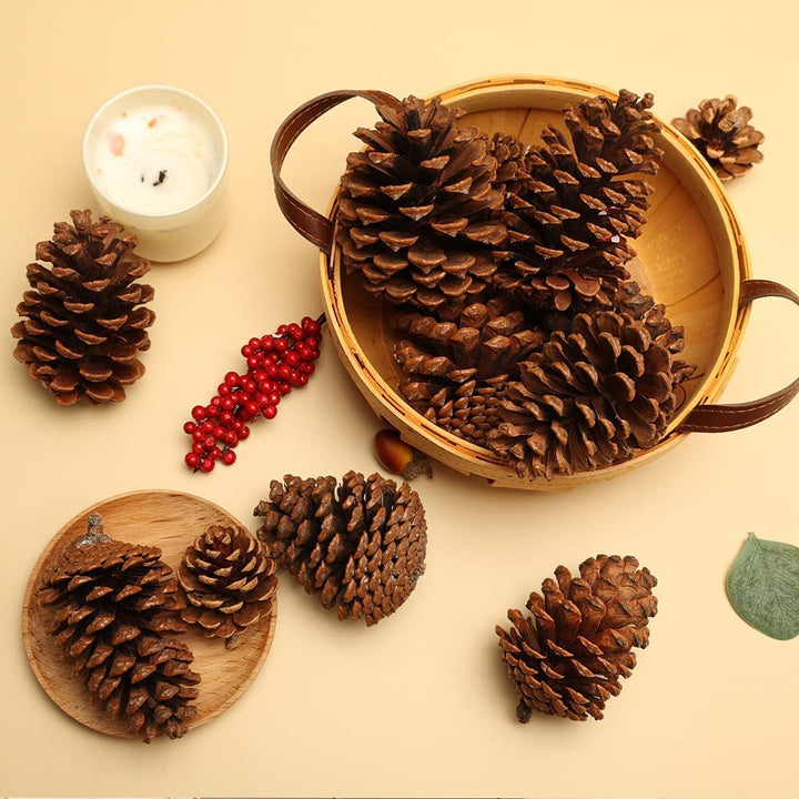 JOHOUSE 3.5-5Inch Natural Pine Cones, Large Pinecone,Ch