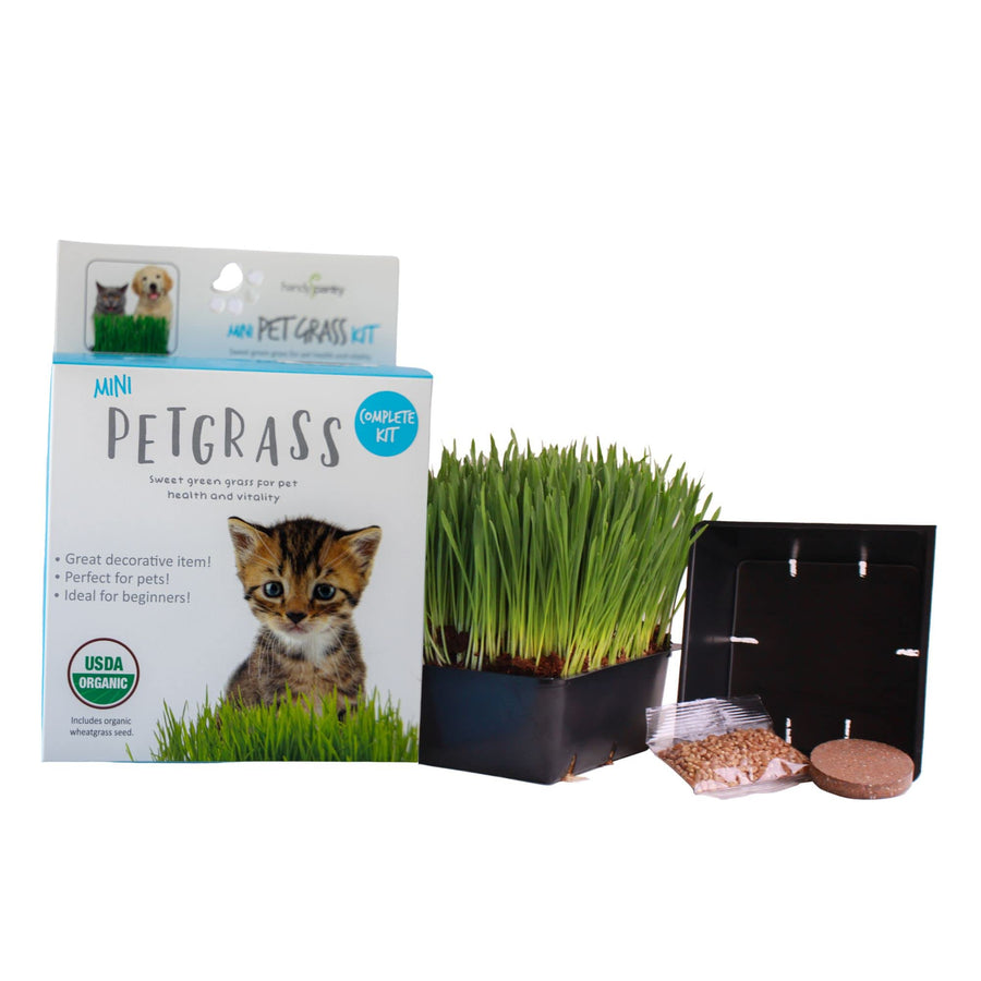 Organic Cat Grass Kit - Includes 1 Tray, 1 Soil Puck, and Non GMO Wheatgrass Seed - A Healthy Treat for Cats, Dogs, Rabbits, and More