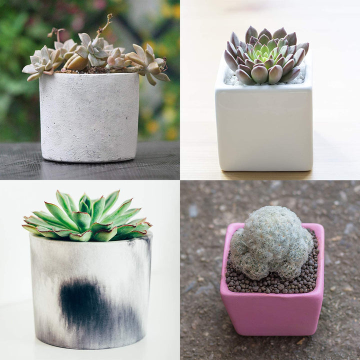 Silicone Molds for Concrete Flower Pots, Mini Concrete Silicone Mold for Plants, Square and Round Shape,2 Pack