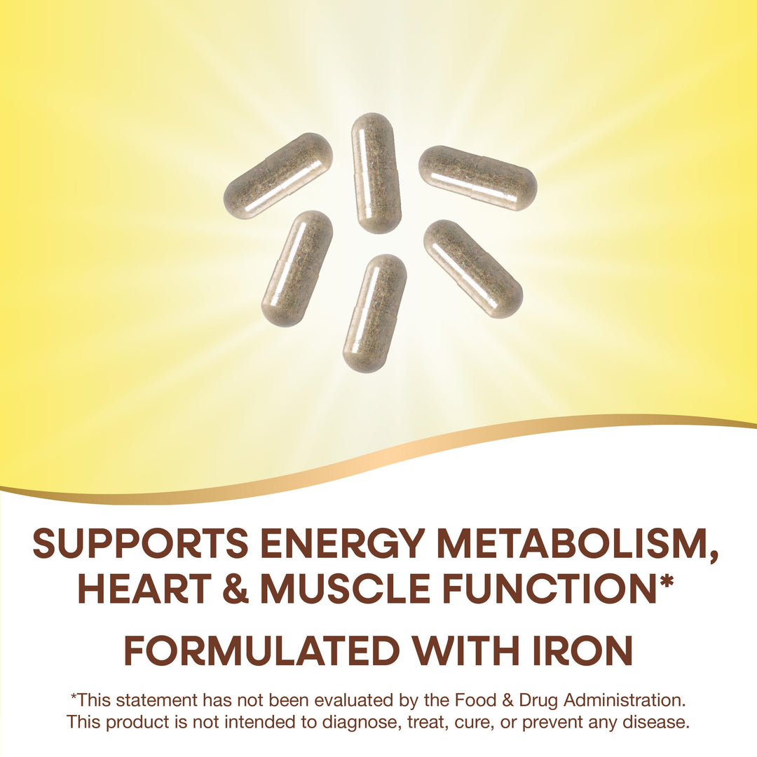Nature&#39;s Way Alive! Max6 Potency Adult Complete