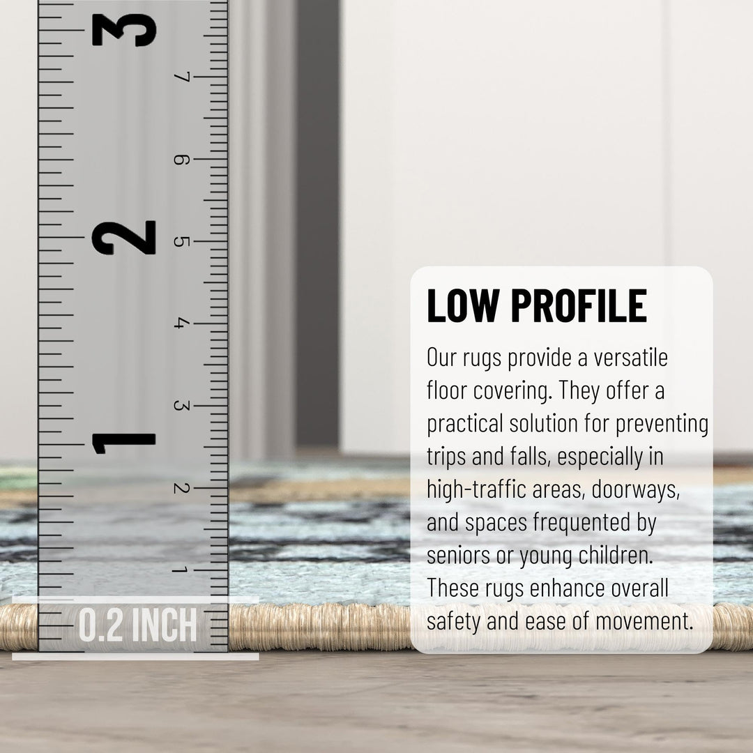 Machine Washable $100 Bill Design Non-Slip Rubberback 22x53 Modern Runner Rug for Hallway, Kitchen, Bedroom, 22 x 53, Multicolor