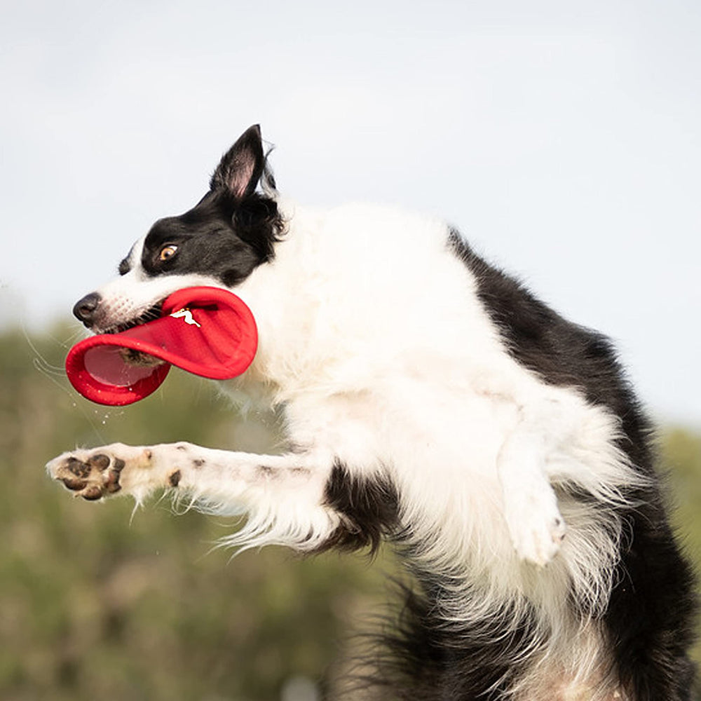 Nylon Flyer Dog Toy, Flying Disc, Lightweight, Durable and Water Resistant, Great for Beach and Pool, 9 inch diameter, for Medium/Large Breeds, Single Unit, Red