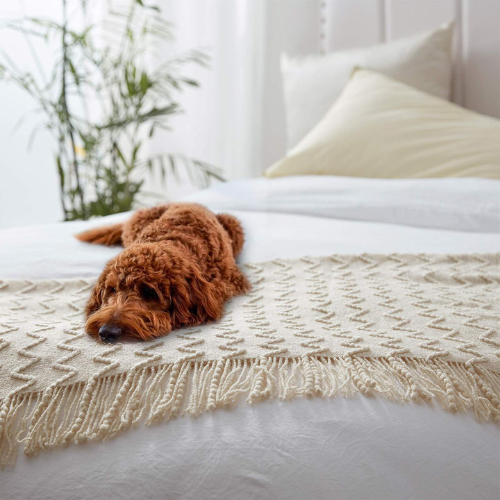 NexHome Throw Blankets for Couch Cream Decorative Knit 
