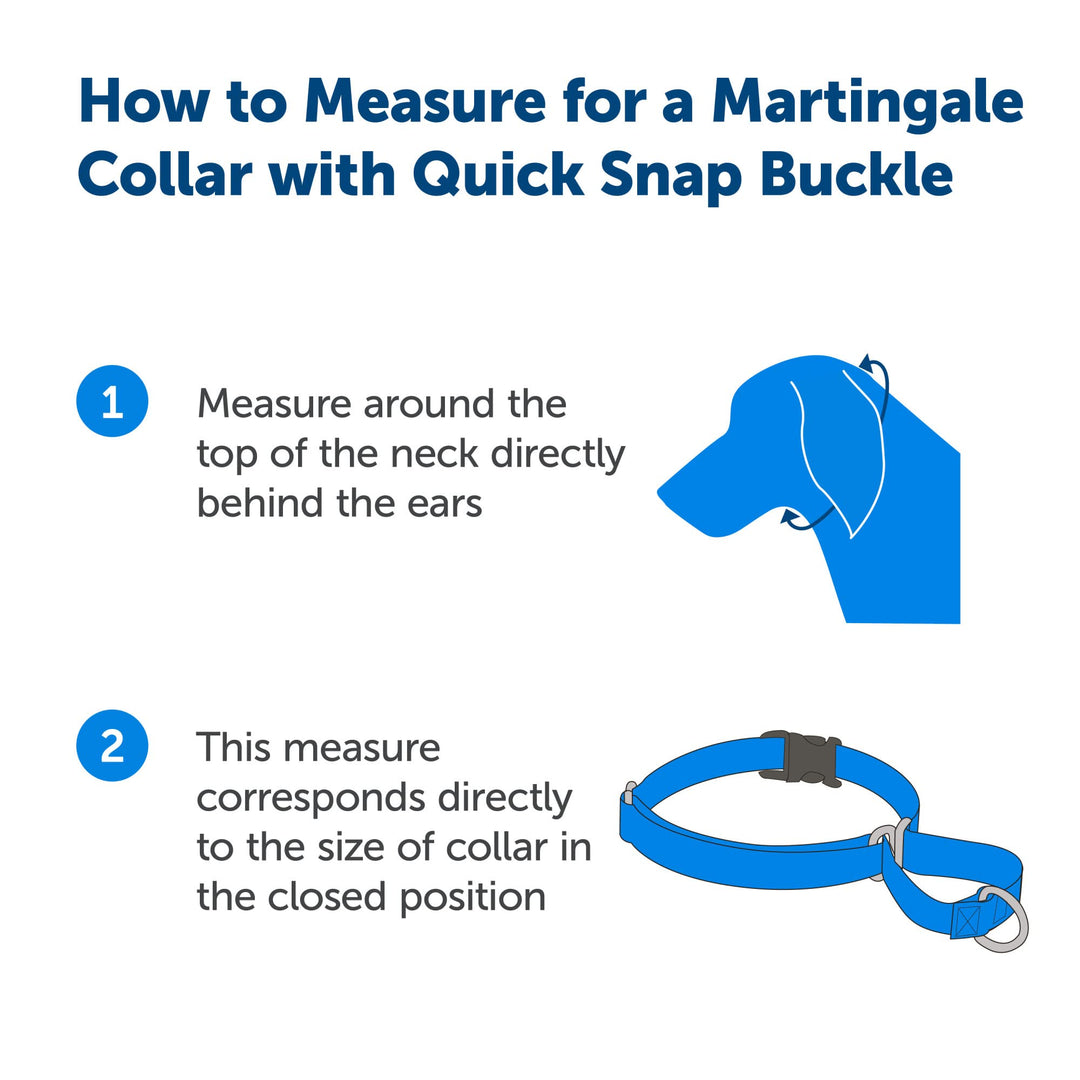 Martingale Dog Collar with Quick-Snap Buckle - Petite, 3/8 Inch, Red