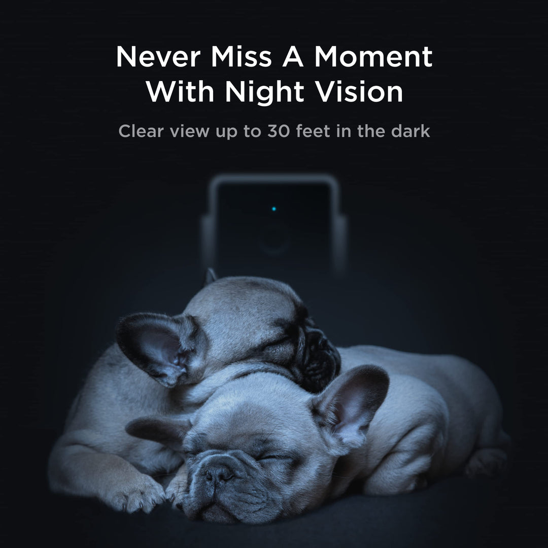 Cam | Indoor Wi-Fi Pet and Security Camera with Phone App, Pet Monitor with 2-Way Audio and Video, Night Vision, 1080p HD Video and Smart Alerts for Ultimate Home Security