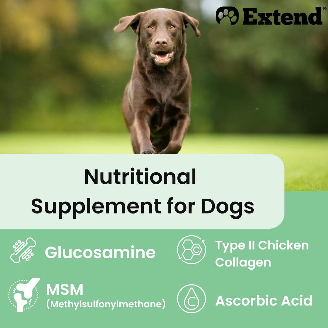 Extend Joint Care for Dogs