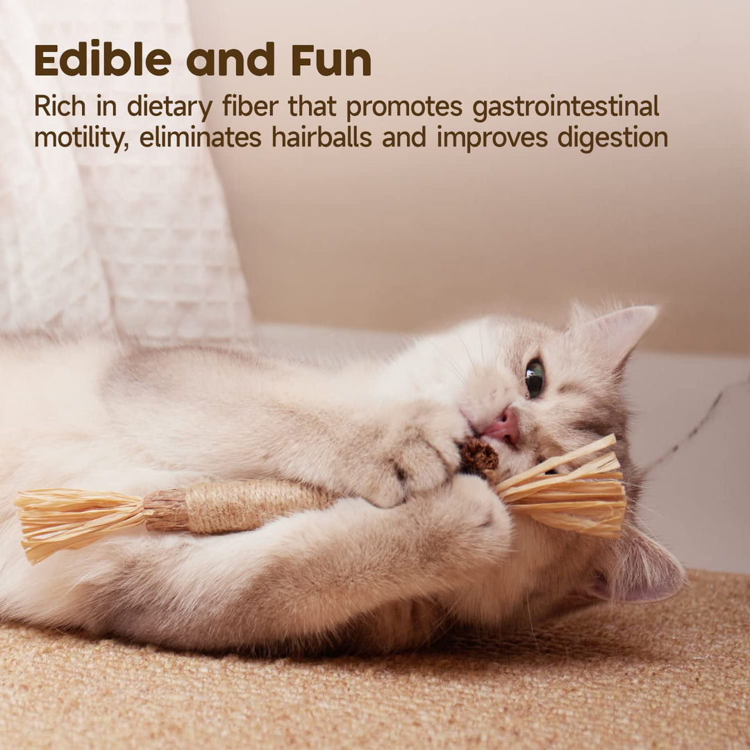 3 Pack Natural Silvervine Sticks Cat Toys, Catmint Silvervine Blend Sticks, Catnip Kittens Chew Toys Teeth Cleaning, Matatabi Dental Care Cat Treat Edible Kitty Lick Toys, Package May Vary