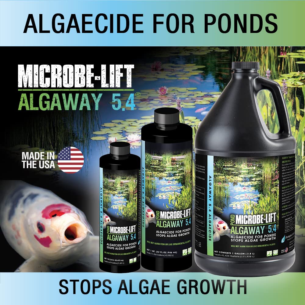 ALGAGAL Algaway 5.4 Algae Control Treatment for Ponds and Water Gardens, Safe for Koi Fish, Goldfish, Plants, and Decorations, 1 Gallon