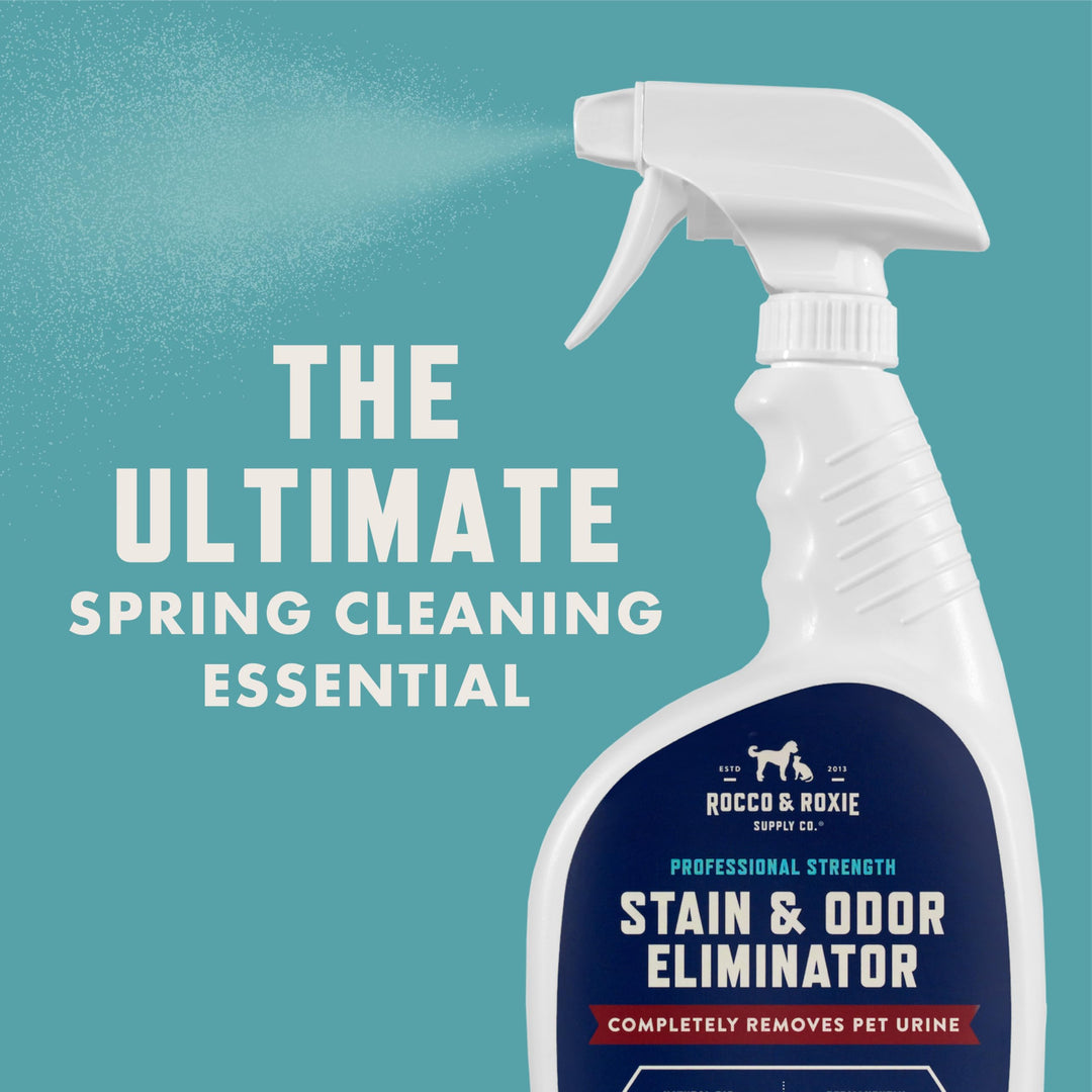 Rocco &amp; Roxie Stain &amp; Odor Eliminator for Strong Odor, 32oz Enzyme Pet Odor Eliminator for Home, Carpet Stain Remover for Cats &amp; Dog Pee, Enzymatic Cat Urine Destroyer, Carpet Cleaner Spray