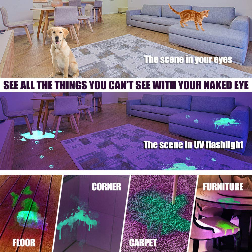 Anipaw UV Black Light Flashlight, Super Bright 100 LED 395 nM Ultraviolet Blacklight Detector for Urine for Dog/Cat, Dry Stains, Bed Bug, Professional Blacklight Flashlight for Scorpions Hunting
