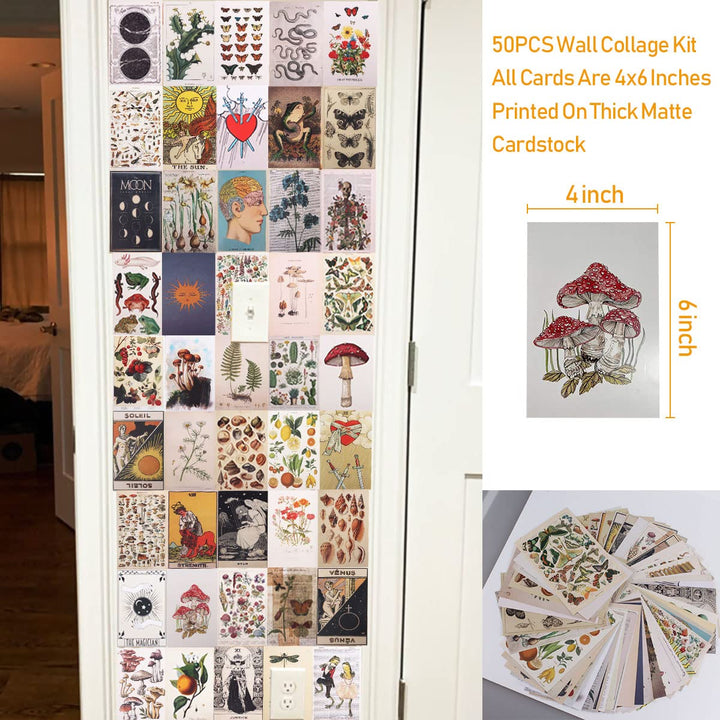 Wall Collage Kit,50 Pcs Vintage Botanical Wall Collage Posters Aesthetic Pictures for Tarot Boho Botanical Illustrations Nature Posters,Teen and Girls Dorm Room Art Aesthetic