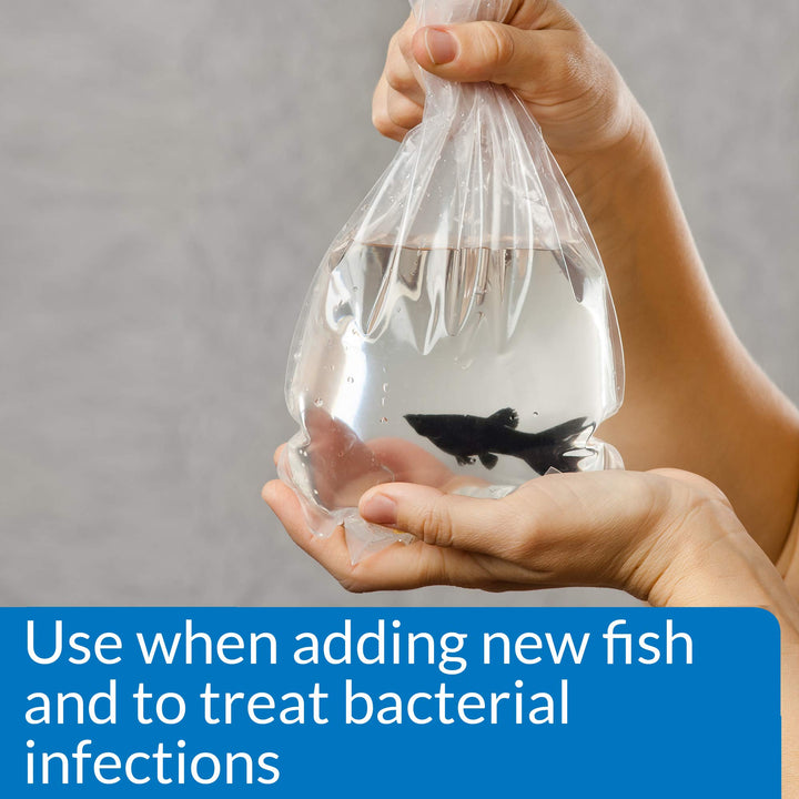API MELAFIX Freshwater Fish Bacterial Infection Remedy 4-Ounce Bottle