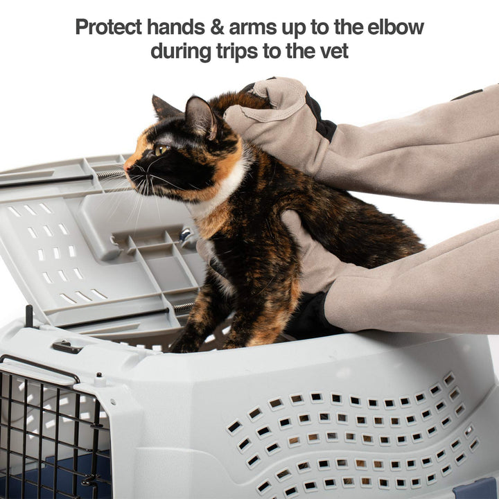 Multipurpose Pet Glove for Grooming, Trips to Vet, Handling. [Puncture &amp; Scratch Resistant, Water Resistant]. 12 Month Warranty for Manufacturer Defects Grey
