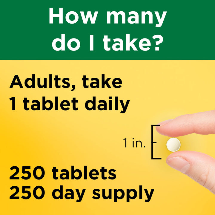 Folic Acid 400 mcg (665 mcg DFE), Dietary Supplement for Nervous System Function, 250 Tablets, 250 Day Supply
