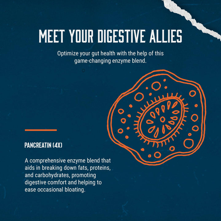 Pure Digestive Enzyme Capsules with Lipase Amylase Protease - Aids Digestive System Natural Immune System Booster - Breaks Down Carbohydrates Reduce Bloating Gas Digestive Enzymes Pills