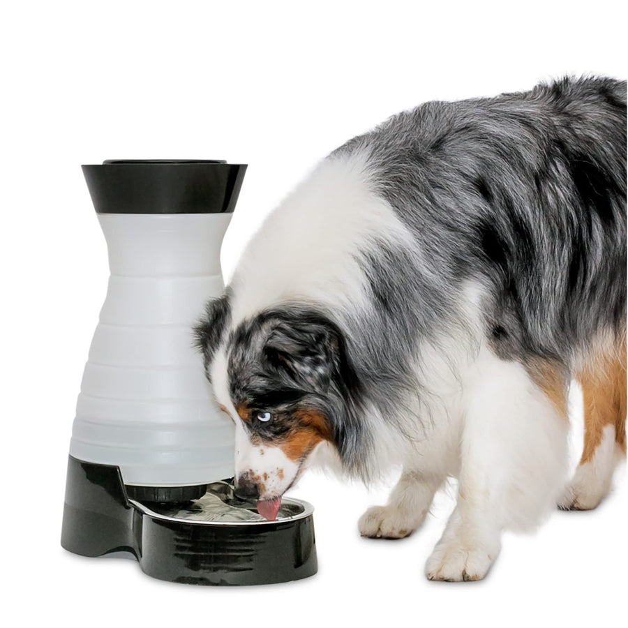 Healthy Pet Water Station - Large, 320 oz Capacity - Gravity Pet Water Fountain, Automatic Cat Water Fountain or Dog Water Fountain - Water Dispenser - Removable Stainless Steel Bowl Included