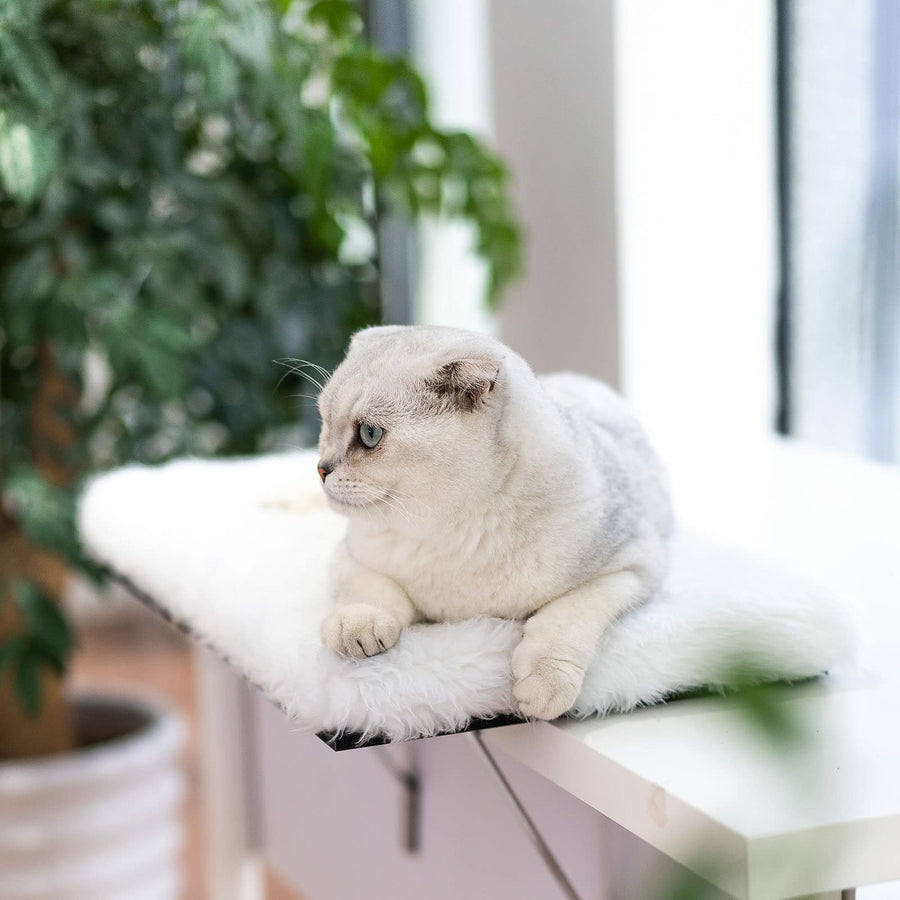 Pet Cat Window Seat Wall Mount Perch House Pets Furniture Saving Space All Around 360° Sunbath for Cats,Durable Steady Cat Shelf for Kitten
