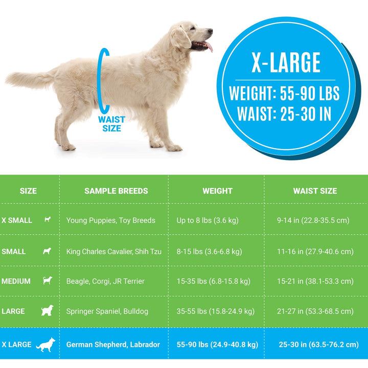 Disposable Male Dog Diapers - Super Absorbent, Leak-Proof Pee Wraps - Adjustable Fit, Comfortable Design, Advanced Moisture Control, and Wetness Indicator - Extra Large (20 Count)