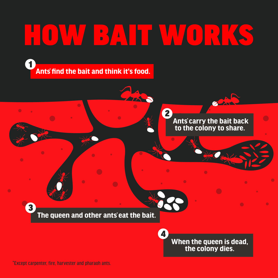 100099307 Block Home Perimeter Ant Bait Granules 12oz, 12 Ounces