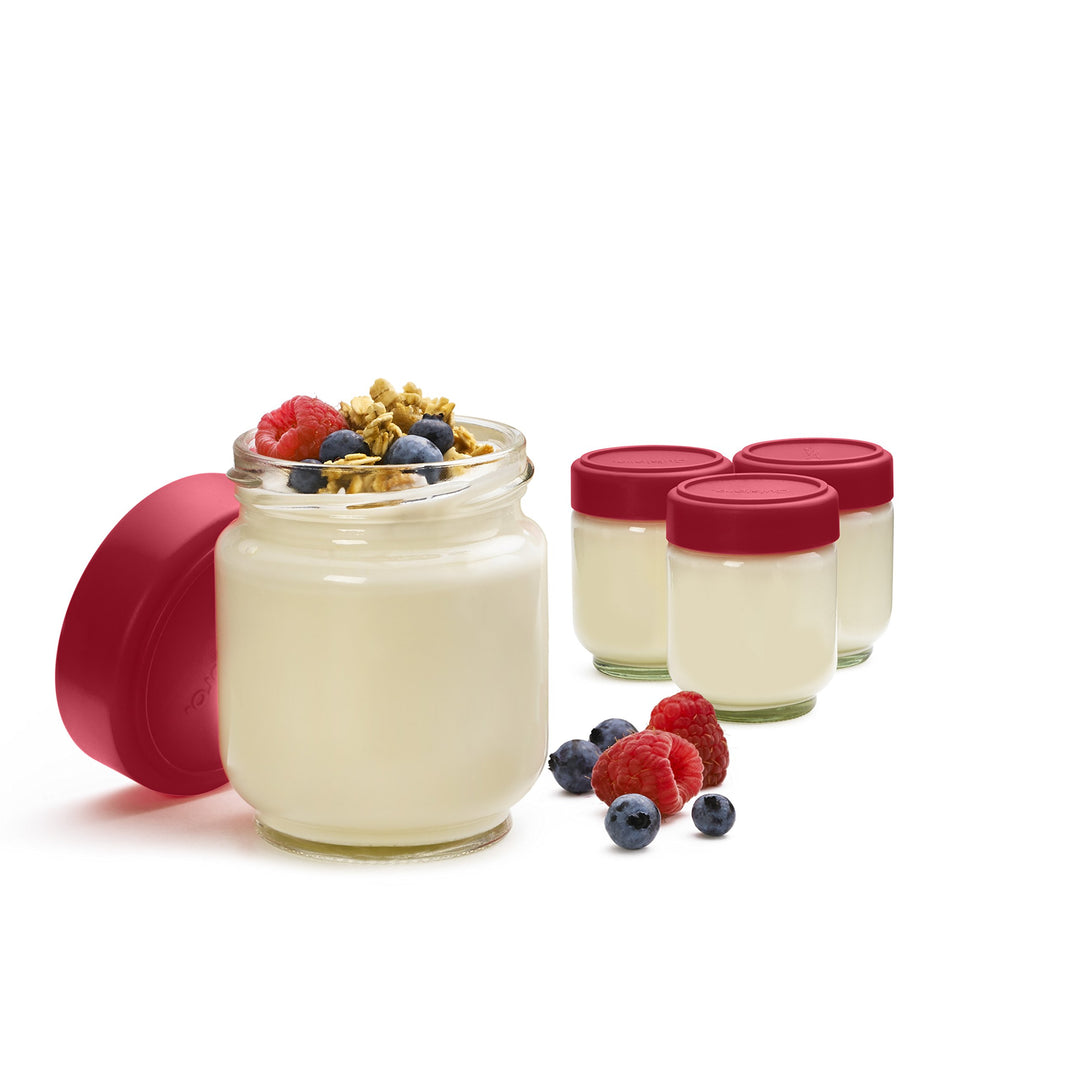6 Ounce Glass Jars (Set of 4), Glass/Red