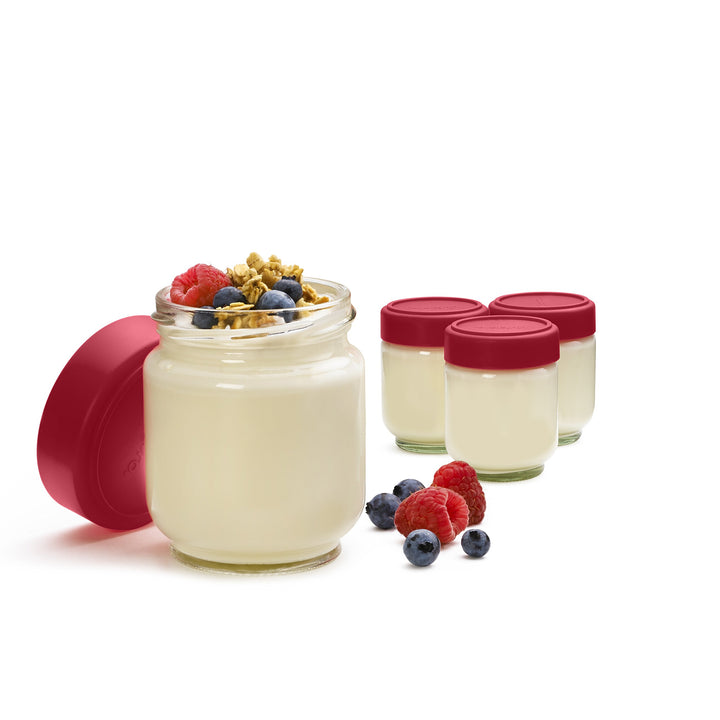 6 Ounce Glass Jars (Set of 4), Glass/Red