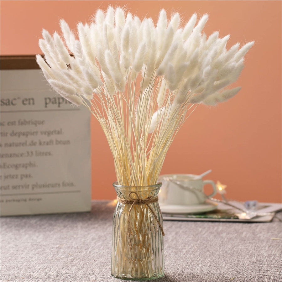 Natural Dried Bunny Tail Grass - 110~120 Stems Rabbit Tail Grass, Lagurus Ovatus for Boho Decor, Dried Pampas Grass Flower Arrangements Wedding Home Kitchen Office Decor (White)