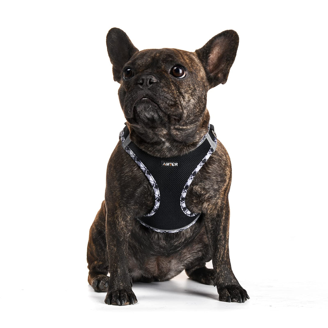 Small Dog Harness with Leash Set, No Escape Easy Walk Puppy Harnesses for Training Walking, Step-in Reflective Soft Dogs Vest for XS S Medium Extra-Small Large Sized Dog(Blackwhite,S)