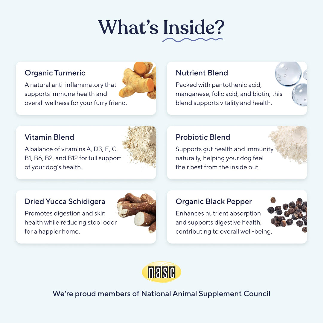 Probiotics for Dogs | Supports Digestive Health, Diarrhea for Small and Large Dogs | Improves Gut Health | Anti Yeast Supplements | Promotes Skin Health and Seasonal Allergies Support - 30 Chews