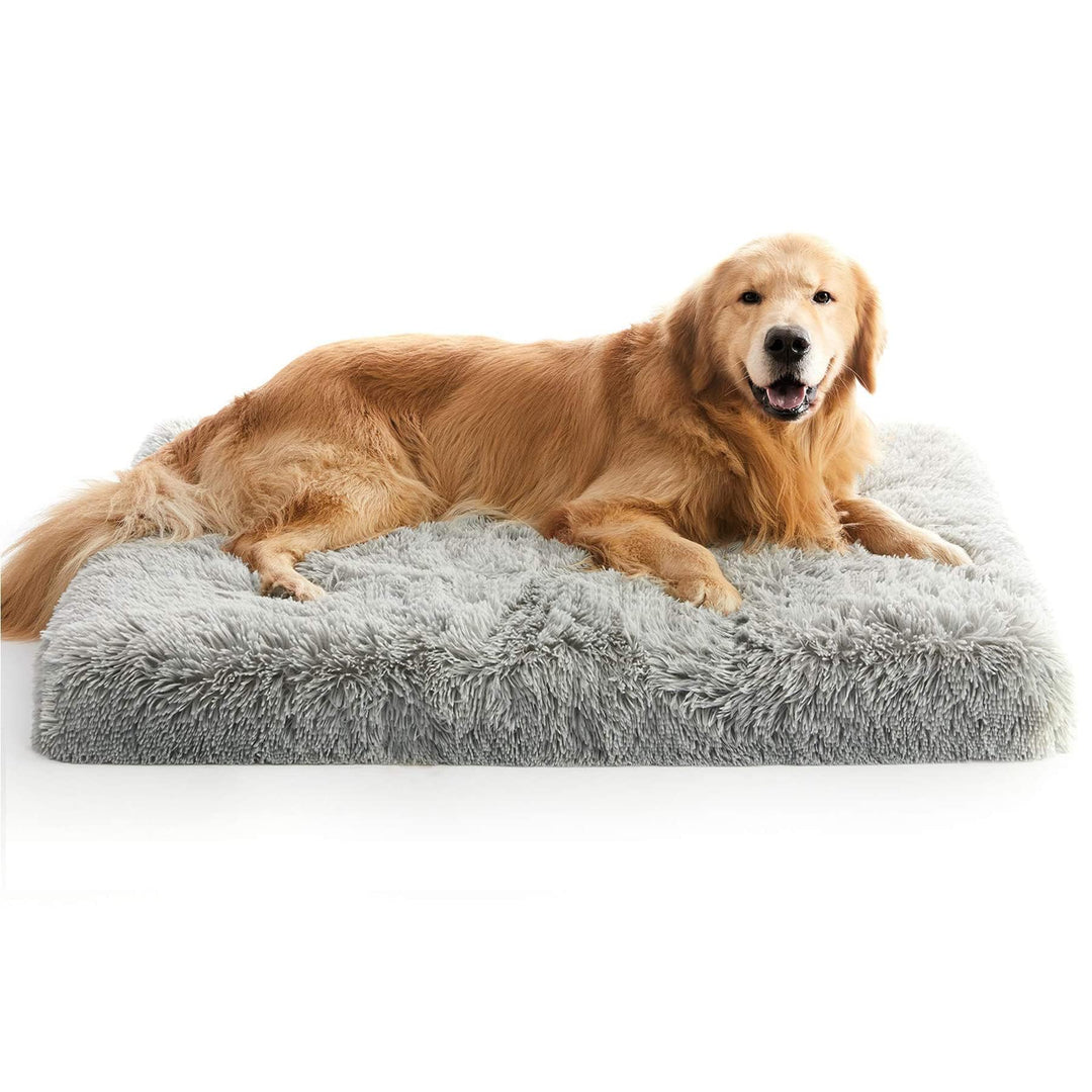 Large Dog Bed, Orthopedic Egg Crate Foam Dog Bed with Removable Washable Cover, Waterproof Dog Mattress Nonskid Bottom, Comfy Anti Anxiety Pet Bed Mat, 35x22 inch, Gray