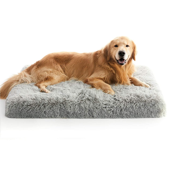 Large Dog Bed, Orthopedic Egg Crate Foam Dog Bed with Removable Washable Cover, Waterproof Dog Mattress Nonskid Bottom, Comfy Anti Anxiety Pet Bed Mat, 35x22 inch, Gray