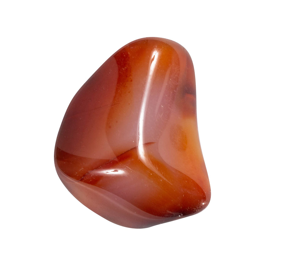The Chrysalis Stone Tumbled Carnelian - Healing Stone, 