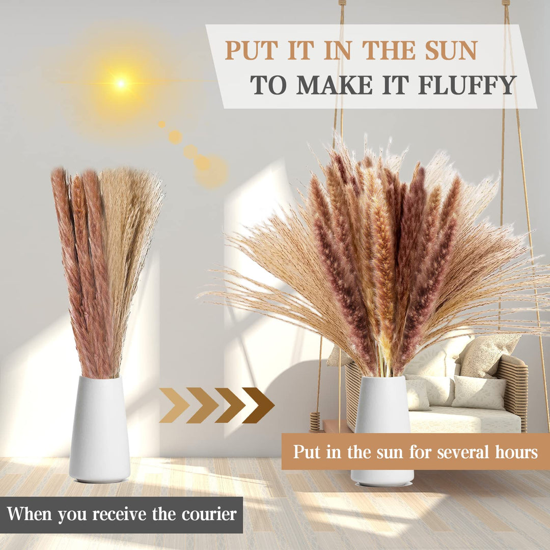 Pampas Grass Decor, 80pcs Natural Dried Pampas Grass - Brown Pampas Mixed Reed Grass for Boho Decor, Fluffy Pampas Grass Bouquet/Pompas Floral for Flower Arrangements Wedding Home Decor