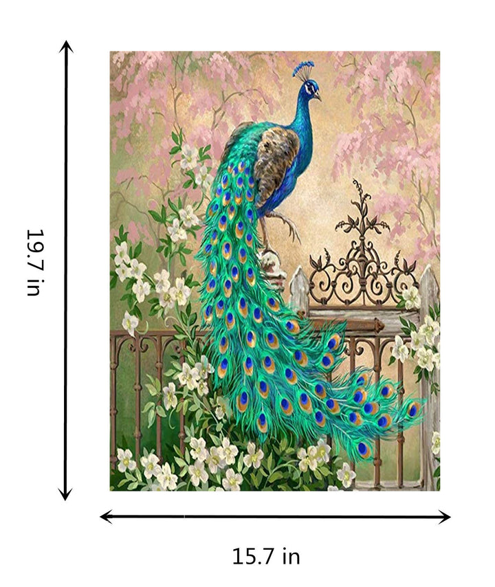 DIY Paint by Numbers Kit for Adults Kids Beginner Peacock DIY Canvas Painting by Numbers Painting Acrylic Painting for Home Decoration Paint by Number Peacock 16x20 Inch