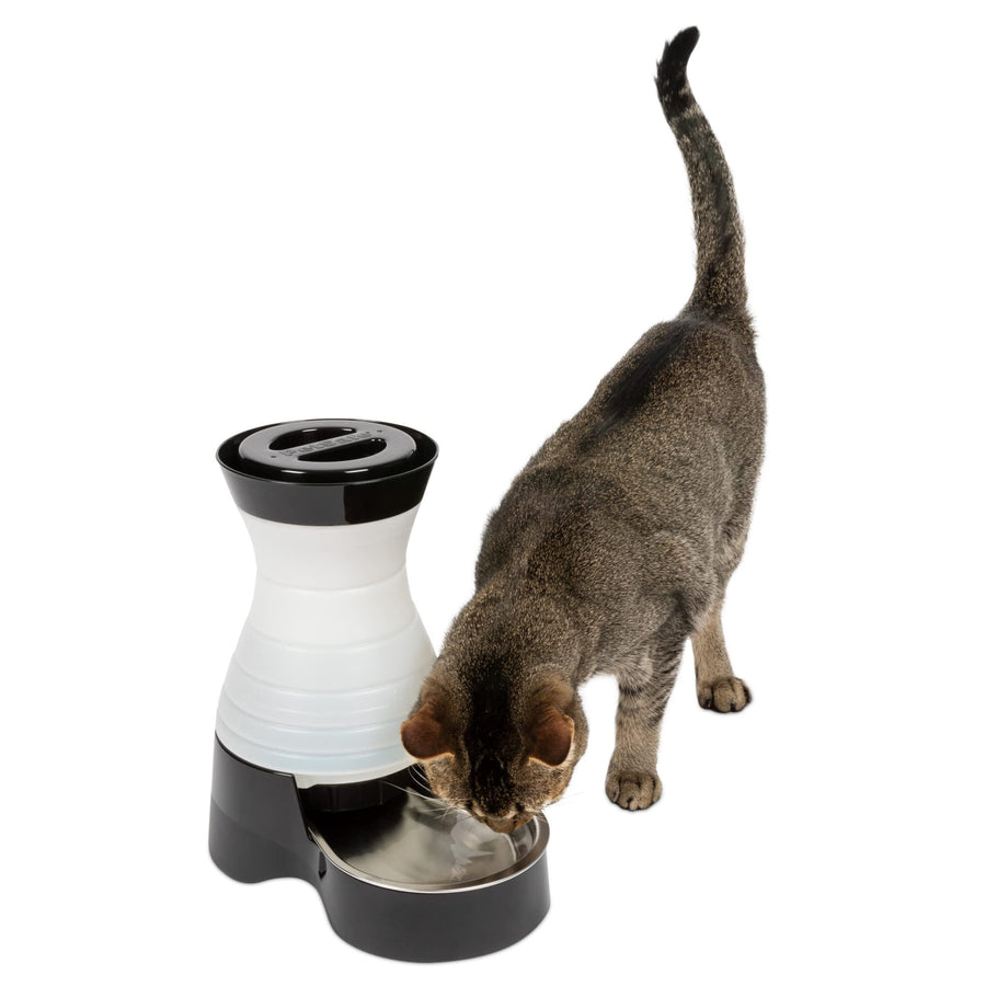 Healthy Pet Water Station - Small, 64 oz Capacity - Gravity Pet Water Fountain, Automatic Cat Water Fountain, Dog Water Fountain, Water Dispenser - Removable Stainless Steel Bowl Included