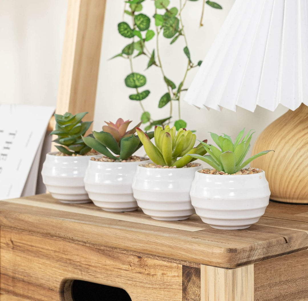 Artificial Succulent Plants in Pots, Fake Plants for Indoors, Home Garden Decor, Cactus Plants Artificial, Fake Cacti, Faux Succulents, Set of 4