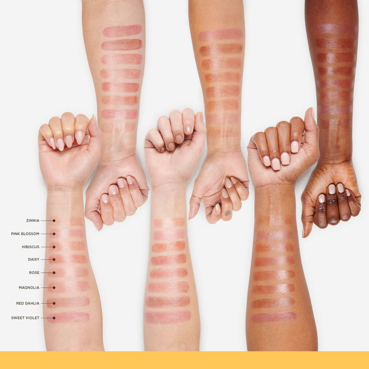 Burt&#39;s Bees Tinted Lip Balm Red Dahlia, 4.25 g