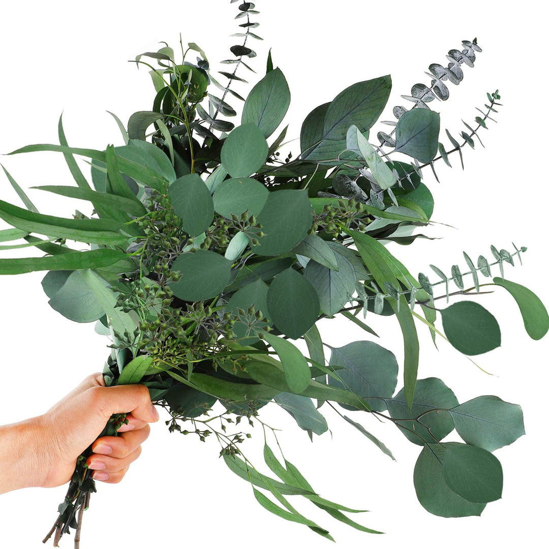 12Pcs Mixed Real Dried Eucalyptus Leaves Stems - Preserved Eucalyptus Branches, Silver Dollar Eucalyptus, Seeded Eucalyptus Bouquets for Vase Floral Arrangements Wedding Greenery Decor