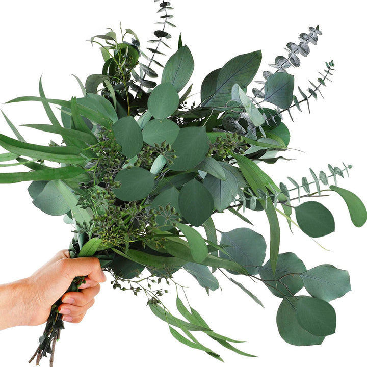 12Pcs Mixed Real Dried Eucalyptus Leaves Stems - Preserved Eucalyptus Branches, Silver Dollar Eucalyptus, Seeded Eucalyptus Bouquets for Vase Floral Arrangements Wedding Greenery Decor
