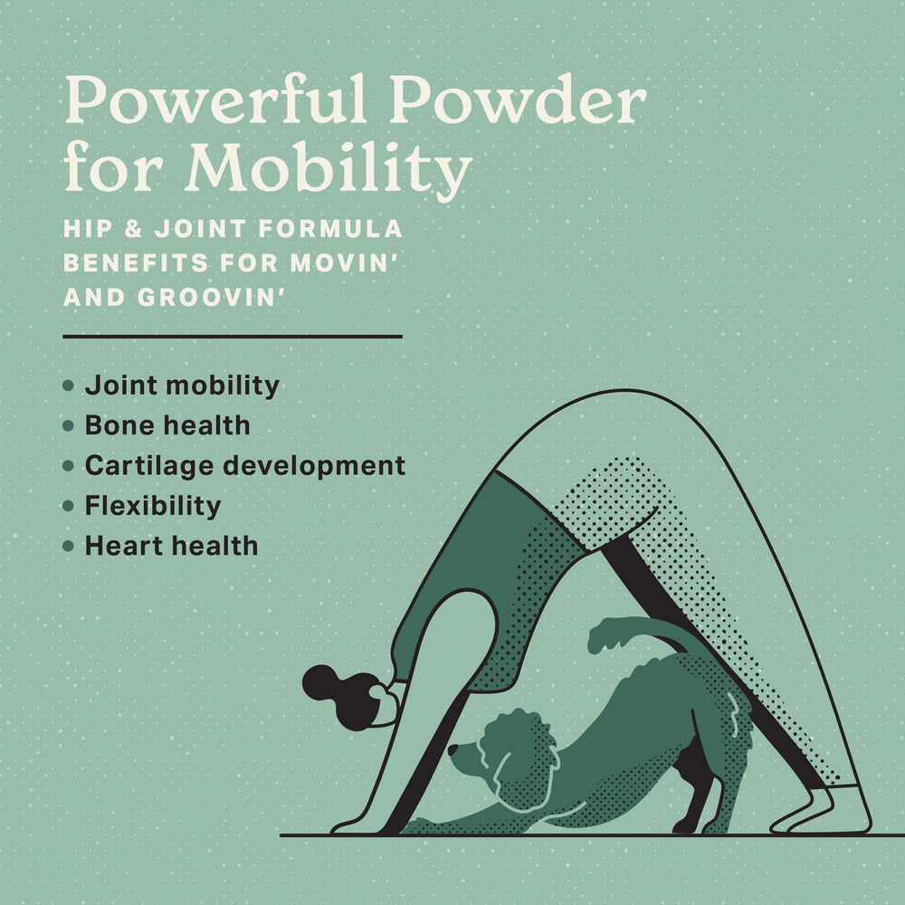 Hip & Joint + Probiotics Supplement 1lb Bag - Superfood Powder for Dog Cartilage & Bone Health, Joint Mobility & Flexibility